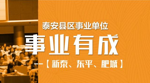 新泰市最新招聘动态及其社会影响分析