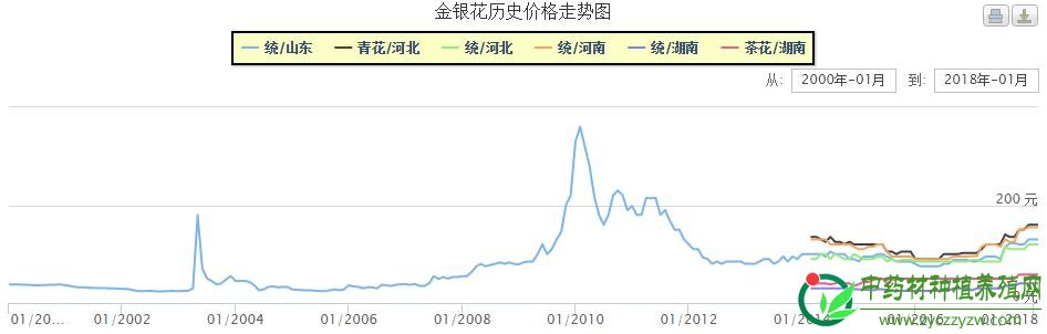 金银花最新行情深度探讨（XXXX年市场分析）