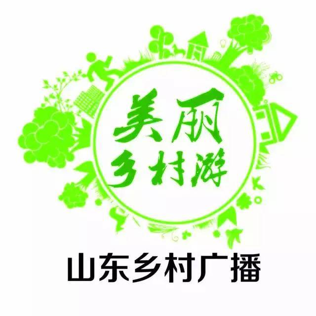 纸坊最新招聘动态与职业发展无限机遇