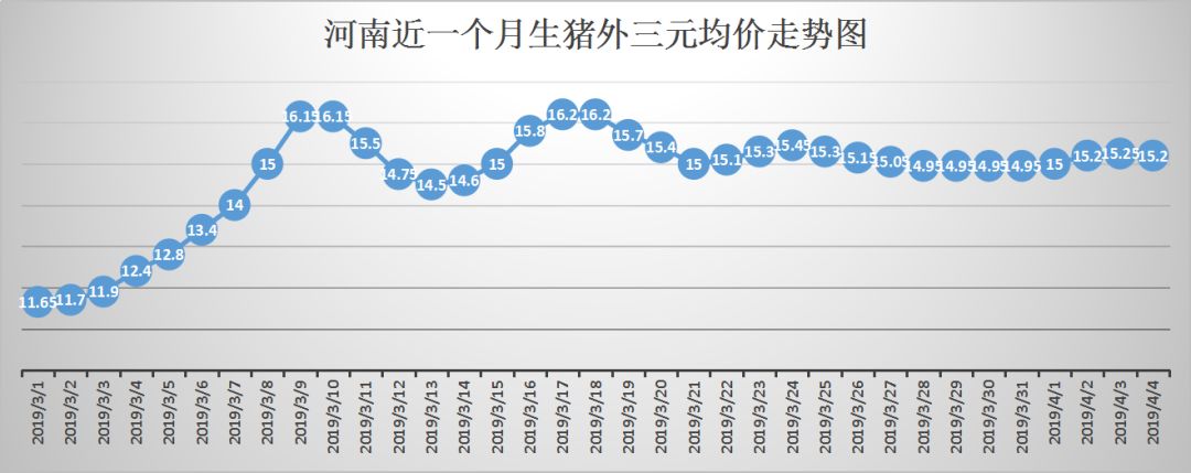 河南最新猪价行情解析