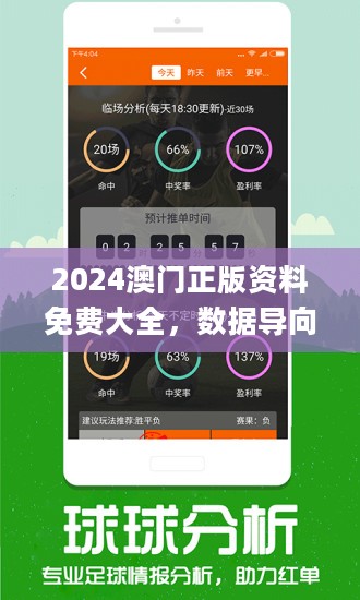 新澳门正版资料免费公开查询,灵活性策略解析_投资版38.81