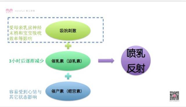 今晚澳门特马必开一肖,理论分析解析说明_WearOS40.65