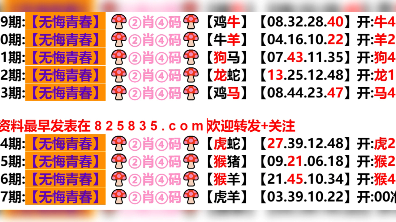 2024年新奥门天天开彩,快速响应方案落实_完整版80.308