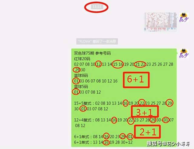 白小姐今晚特马期期准六,快速解答计划解析_nShop47.173