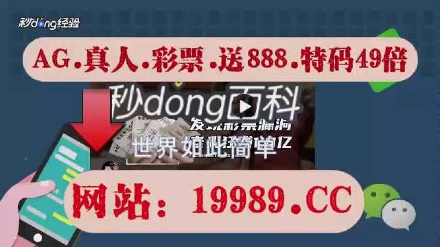 2024年新澳门天天开奖免费查询,最新核心解答落实_豪华版180.300