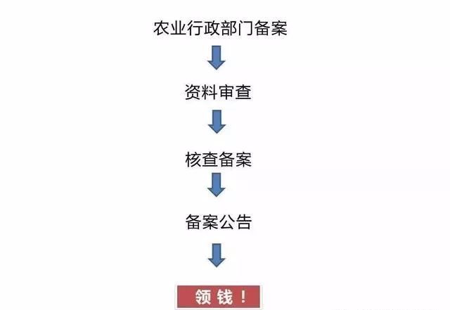 2024新澳今晚资料鸡号几号,标准化流程评估_M版42.506