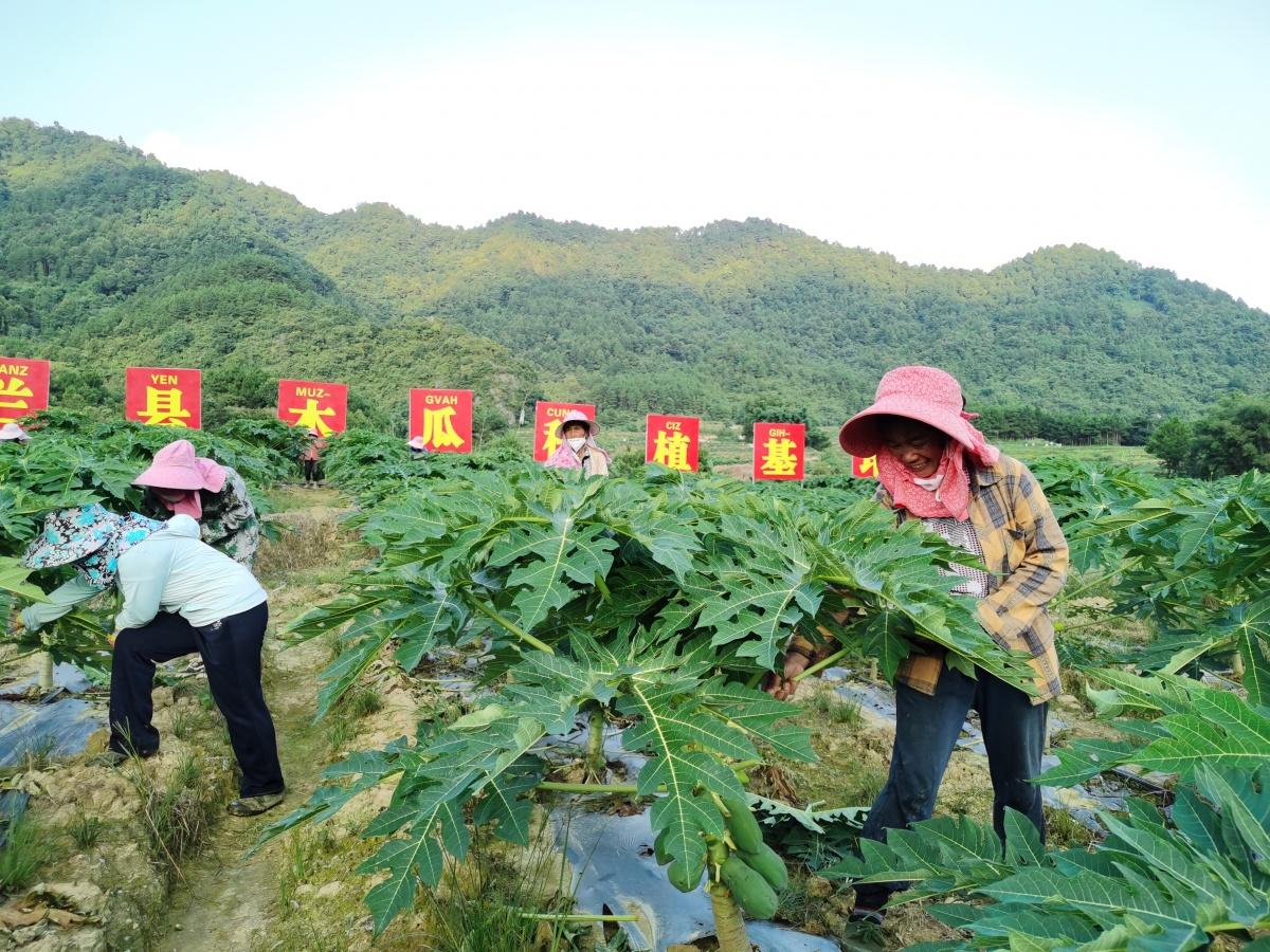 东兰县科技局人事任命激发创新活力，推动县域高质量发展新篇章开启