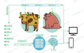 精准一肖100%准确精准的含义,实地解读说明_云端版38.122