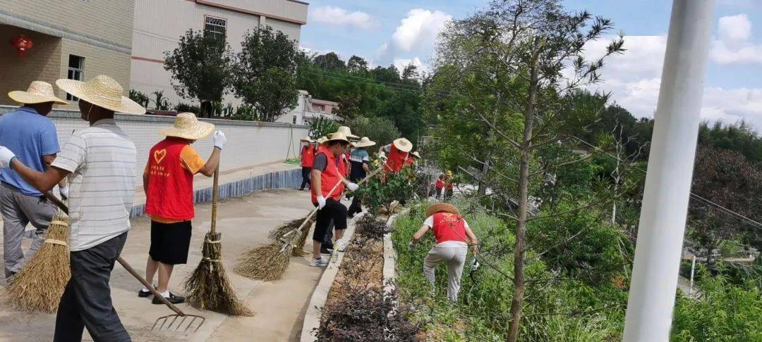 丰稔镇领导最新概览