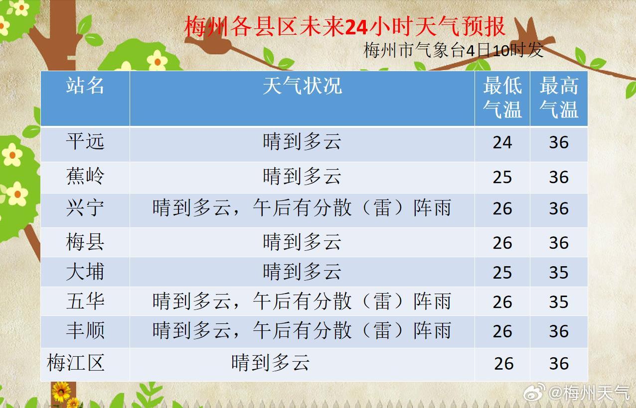 钟紫村委会天气预报及影响深度解析