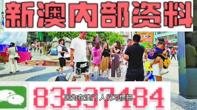 2024新澳精准免费资料,精细化策略落实探讨_粉丝版335.372