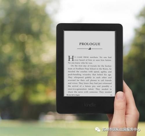 新澳2024今晚开奖资料,前沿评估解析_Kindle98.50