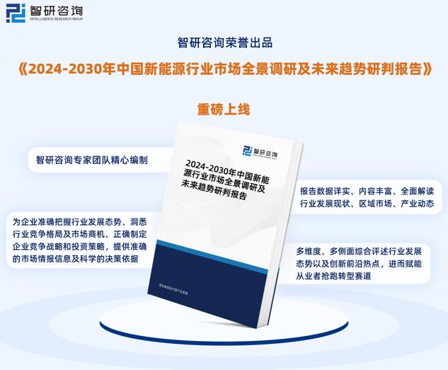 新澳2024年精准正版资料,深层数据分析执行_Gold38.448