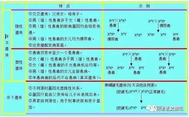 2024澳门特马今晚开奖49图,互动性执行策略评估_静态版6.22