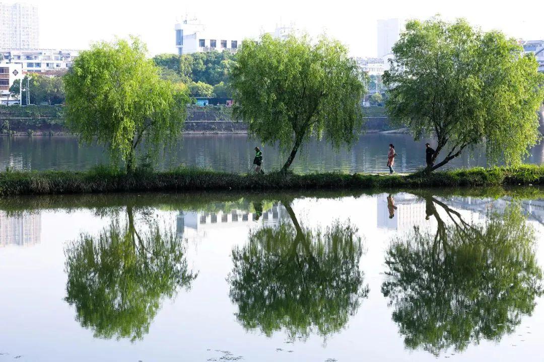 阳湖镇最新项目，地区发展的强大引擎引领力量