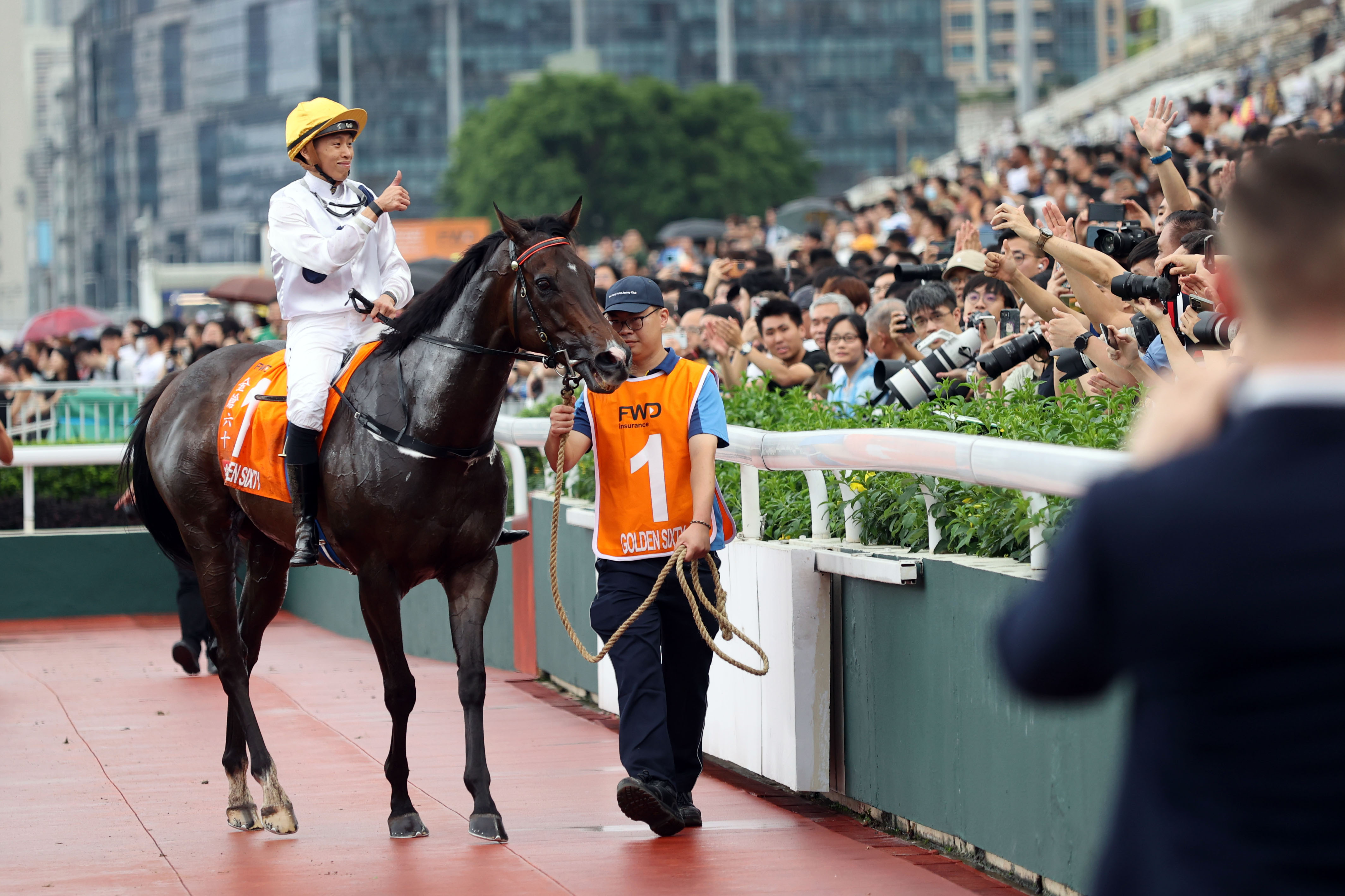 2024香港赛马全年免费资料,权威诠释推进方式_AP65.657