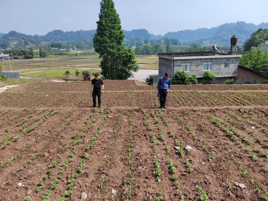 万盛区农业农村局新项目推动农业现代化助力乡村振兴