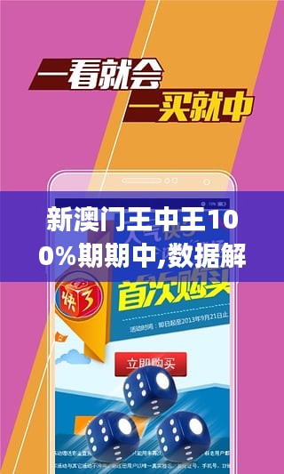 澳门精准王中王免费公开,精细执行计划_Prime45.162