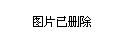 2024年12月19日 第23页