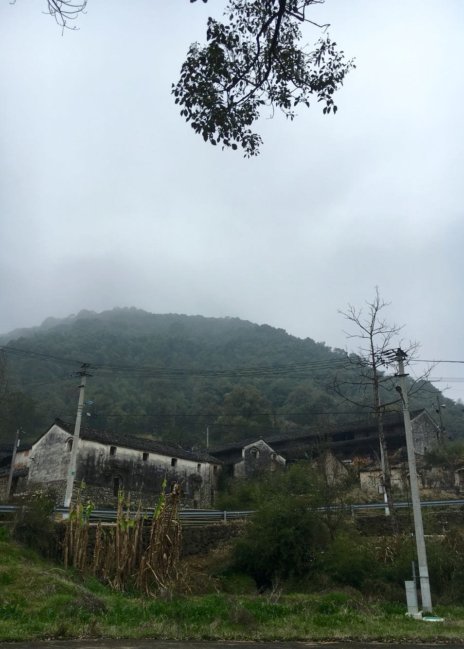 鼓山镇天气预报更新通知