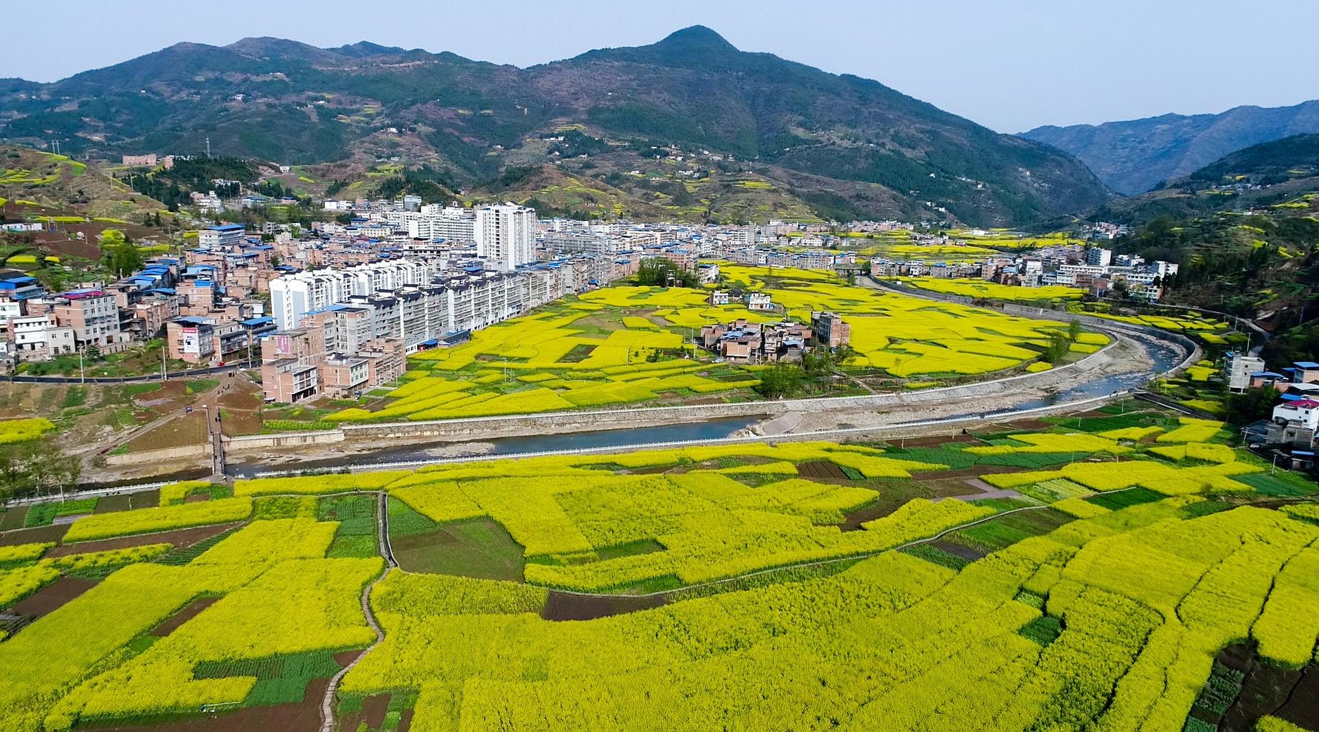 甲高镇天气预报更新通知