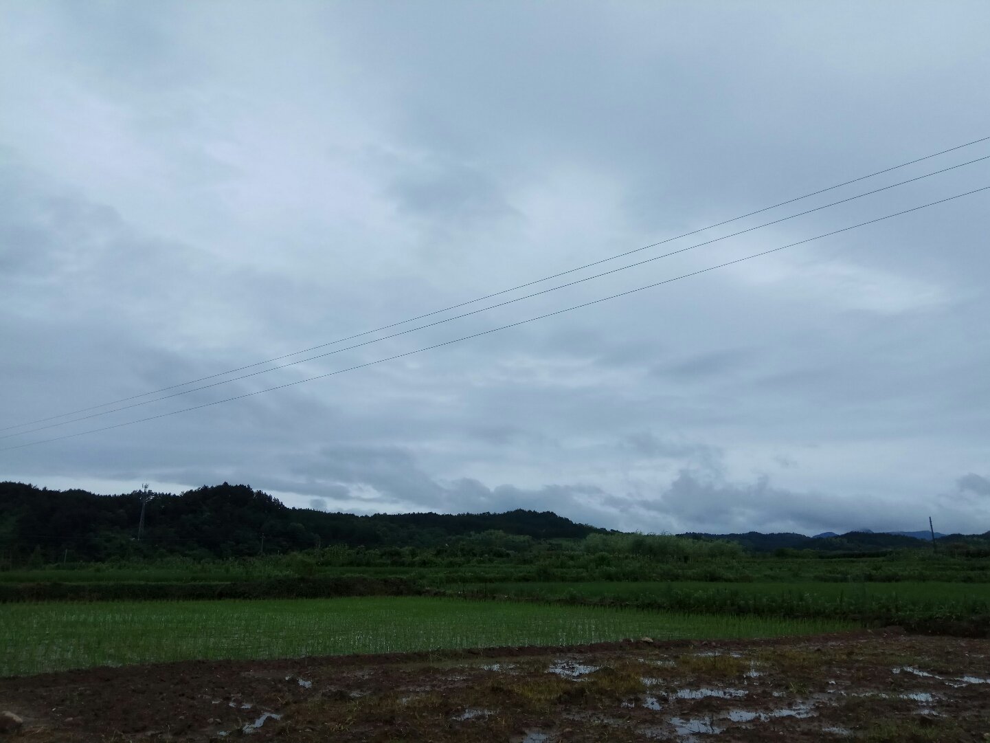 长台镇天气预报更新通知