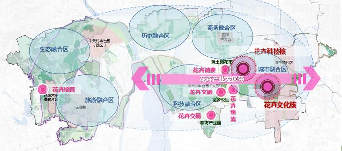 2024年12月22日 第12页