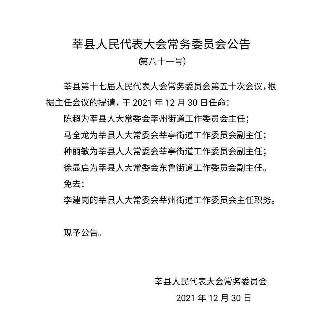 单县人民政府办公室人事任命重塑领导团队，推动县域发展新篇章开启