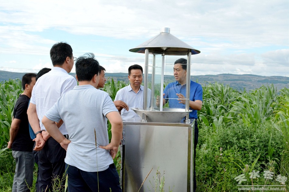 麦积区农业农村局推动农业现代化，助力乡村振兴新动态