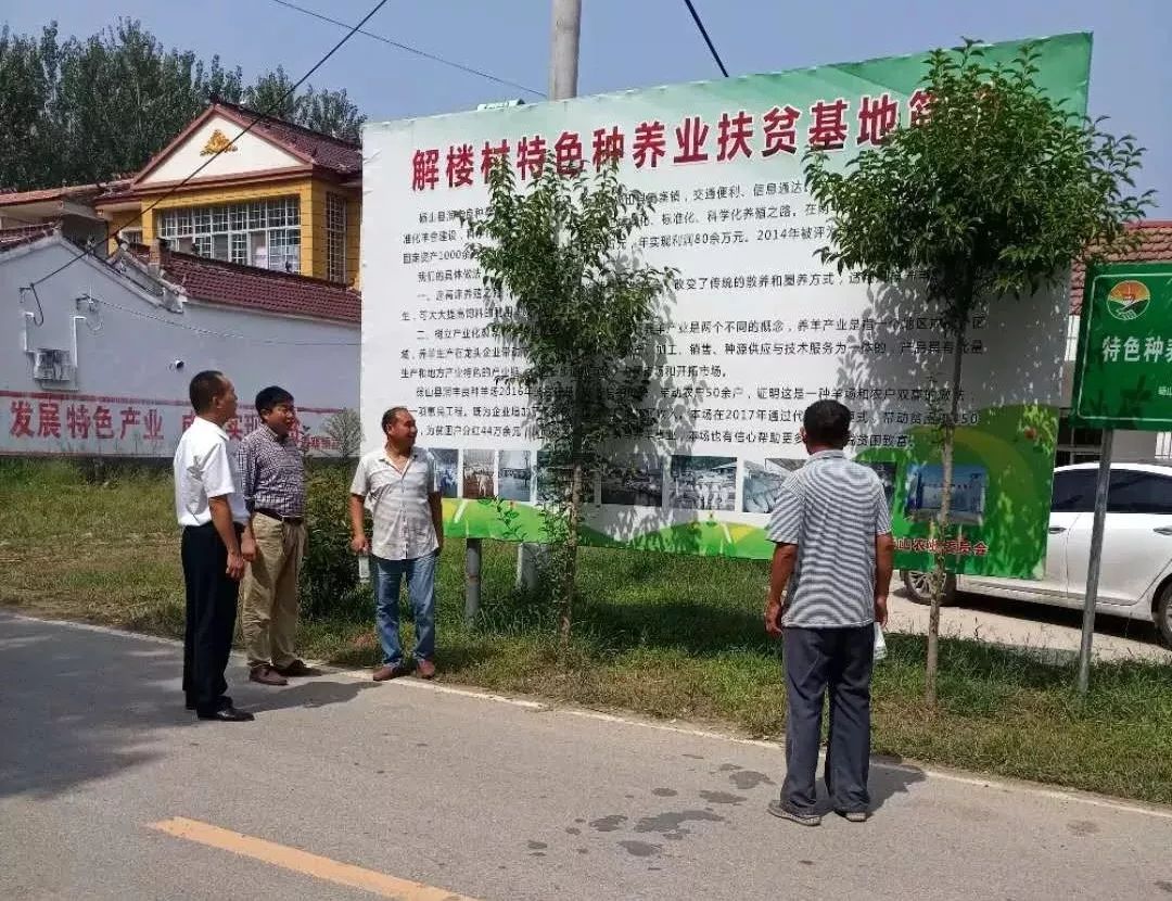 孙寨村委会新项目重塑乡村未来，引领发展新潮流